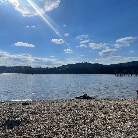 Apartman 511 Lipno nad Vltavou Luaran gambar